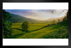 Rolling Hills And Pastures In Rural Yorkshire Landscape Photo Art Print Stand or Hang Wood Frame Display Poster Print 13x9