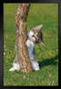 Portrait of Kitten Hiding Behind Tree Photo Baby Animal Portrait Photo Cat Poster Cute Wall Posters Kitten Posters for Wall Baby Poster Inspirational Cat Poster Stand or Hang Wood Frame Display 9x13