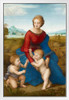 Raphael Madonna of the Meadow Baby Realism Romantic Artwork Raffaello Prints Biblical Drawings Portrait Painting Wall Art Renaissance Posters Canvas Art White Wood Framed Art Poster 14x20