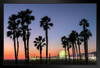 Santa Monica Beach Sunset Santa Monica Pier Ferris Wheel California Photo Photograph Palm Landscape Pictures Ocean Scenic Tropical Nature Photography Paradise Stand or Hang Wood Frame Display 9x13