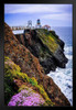 Point Bonita Lighthouse San Francisco Bay Marin Headlands California Photo Photograph Art Print Stand or Hang Wood Frame Display Poster Print 9x13