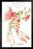 Fuchsia by Renee Biertempfel Fairy Fantasy Art Print Stand or Hang Wood Frame Display Poster Print 9x13