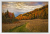 Autumn Hills White Wood Framed Poster 14x20