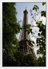 Eiffel Tower from Champ de Mars Paris France Photo Photograph White Wood Framed Poster 14x20