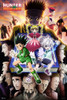 Hunter x Hunter Greed Island Poster Anime Aesthetic Modern Graphic Canvas Picture Japanese Bedroom Home Room Weeb Gift Picture Photograph Manga Fan Cool Wall Decor Art Print Poster 12x18