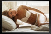 Young Woman in White Lingerie Lying in Bed Photo Photograph White Wood Framed Poster 20x14