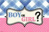 Gender Reveal Poster Boy or Girl Him or Her Baby Party Decorations Supply Supplies Little Star Cute Stuff Design Blue Pink Ideas Photo Picture Welcome Banner Cool Wall Decor Art Print Poster 12x18
