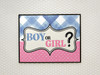 Gender Reveal Poster Boy or Girl Him or Her Baby Party Decorations Supply Supplies Little Star Cute Stuff Design Blue Pink Ideas Photo Picture Welcome Banner Cool Wall Decor Art Print Poster 12x18