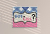 Gender Reveal Poster Boy or Girl Him or Her Baby Party Decorations Supply Supplies Little Star Cute Stuff Design Blue Pink Ideas Photo Picture Welcome Banner Cool Wall Decor Art Print Poster 12x18