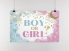 Gender Reveal Poster Boy or Girl Him or Her Baby Party Decorations Supply  Clouds Moon Cool Wall Art Print Poster 12x18