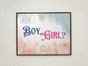Gender Reveal Poster Boy or Girl Baby Him or Her Party Decorations Supply Cool Wall Art Print Poster 12x18
