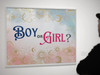 Gender Reveal Poster Boy or Girl Him or Her Baby Party Decorations Supply Supplies Stuff Little Star Cute Design Blue Pink Ideas Photo Picture Welcome Banner Cool Wall Decor Art Print Poster 12x18