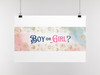 Gender Reveal Poster Boy or Girl Him or Her Baby Party Supply Supplies Decorations  Little Star Stuff Cute Design Blue Pink Ideas Photo Picture Welcome Banner Cool Wall Art Print Poster 36x12