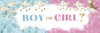 Gender Reveal Poster Boy or Girl Him or Her Baby Party Decorations Supply Supplies Little Star Stuff Cute Design Blue Pink Ideas Photo Picture Welcome Banner Cool Wall Art Print Poster 36x12