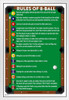 Rules of 8 Ball Pool Eight Ball Billiards Pool Table Room Decor Billiards Decor Pool Art Billiards Art Game Room Decor Pool Table Accessories Chart Pool Rules White Wood Framed Art Poster 14x20