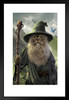 Catdalf Wizard Cat Animal Mashup by Vincent Hie Fantasy Cat Poster Funny Wall Posters Kitten Posters for Wall Funny Cat Poster Inspirational Cat Poster Matted Framed Art Wall Decor 20x26