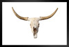 Long Horn Bull Skull Rendering Photo Bull Pictures Wall Decor Longhorn Picture Longhorn Wall Decor Bull Picture of a Cow Skull Picture Bull Horns for Wall Black Wood Framed Poster 14x20