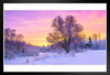 Winter Landscape Forest Trees Covered Snow Sunrise Photo Black Wood Framed Poster 14x20