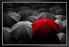 Red umbrella stand out from the crowd. Different leader Motivational Photo Black Wood Framed Poster 14x20