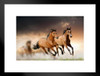 Wild Young Horses Running Free Photo Wild Horses Decor Galloping Horses Wall Art Horse Poster Print Poster Horse Pictures Wall Decor Running Horse Breed Poster Matted Framed Wall Decor Art Print 20x26