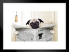 Dog Toilet Art Puppy Posters For Wall Funny Dog Wall Art Dog Wall Decor Puppy Posters For Kids Bedroom Animal Wall Poster Cute Animal Posters Matted Framed Wall Decor Art Print 20x26