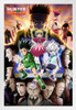 Hunter x Hunter Greed Island Poster Anime Aesthetic Modern Graphic Canvas Picture Japanese Bedroom Home Room Weeb Gift Picture Photograph Manga Fan White Wood Framed Poster 14x20