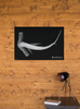 Smithsonian Winghead Shark Sphyrna Hammerhead Xray Wall Art for Room Decor Home Office Classroom Poster Beach Decoration Coastal Nautical Ocean Black and White Cool Wall Decor Art Print Poster 12x18