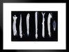 Scary Fish XRay Skeleton Matted Framed Wall Decor Art Print 20x26