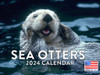 Sea Otter Calendar 2024 Monthly Wall Calender