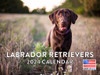 Labrador Retriever Calendar 2024 Lab Monthly Wall Calender