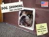 Dog Shaming Calendar 2024 Wall Calander Monthly 12 Month