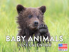 Baby Animal Calendar 2024 Monthly Wall Calender 12 Month