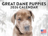 Great Dane Puppy Calendar 2026 Wall 12 Month Monthly Puppies Great Danes Gifts For Great Dane Lovers Women Men Mom Dad | American Made In The USA