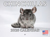 Chinchilla Calendar 2026 Monthly Wall Calender 12 Month | American Made In The USA