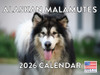 Alaskan Malamute Calendar 2026 Monthly Wall Calender 12 Month | American Made In The USA