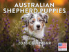 Australian Shepherd Puppy Calendar 2026 Monthly Wall Calender 12 Month | American Made In The USA
