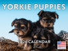 Yorkie Puppy Calendar 2026 Yorkshire Terrier Monthly Wall Calender 12 Month | American Made In The USA