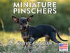 Miniature Pinscher Calendar 2026 Monthly Wall Calender 12 Month | American Made In The USA