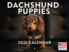 Dachshund Puppy Calendar 2026 Wall Monthly Dachshunds Gifts For Dachshund Lovers Women Men Mom Dad | American Made In The USA