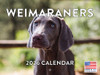 Weimaraner Calendar 2026 Wall 12 Month Monthly Weimaraners Gifts For Weimaraner Lovers Women Men Mom Dad | American Made In The USA