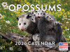 Opossum Calendar 2026 Monthly Wall Calender 12 Month | American Made In The USA