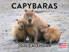 Capybara Calendar 2026 Wall 12 Month Capybara Gifts For Capybara Lovers Women Men Monthly Calender| American Made In The USA