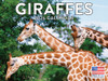 Giraffe Calendar 2026 Monthly Wall Calender 12 Month | American Made In The USA
