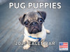 Pug Calendar 2026 Wall Puppies Monthly Pugs Gifts For Pug Lovers For Women Men Children  | American Made In The USA