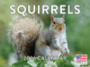 Squirrel Calendar 2026 Monthly Wall Calender 12 Month | American Made In The USA
