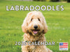 Labradoodle Calendar 2026 Wall 12 Month Monthly Labradoodles Gifts For Labradoodle Lovers Women Men Mom Dad | American Made In The USA