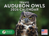 Travis Audobon Owl Calendar 2026 Wall Monthly Owls Gifts For Owl Lovers Women Men | American Made In The USA