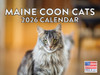 Maine Coon Cat Calendar 2026 Monthly Wall Calender 12 Month | American Made In The USA