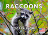 Raccoon Calendar 2027 Monthly Wall Calender 12 Month
