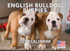 Bulldog Puppy Calendar 2027 Monthly Wall Calender 12 Month